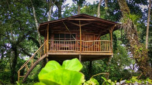 Jungle Cabins El Escondido