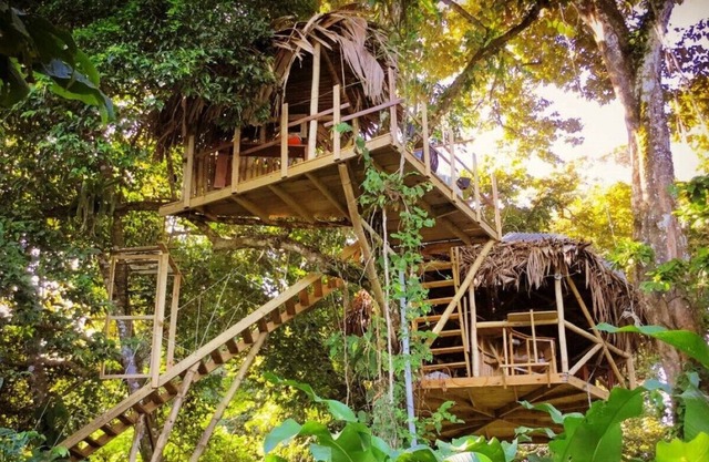 Jungle Treehouse by the Sea