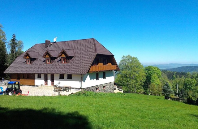 König-in