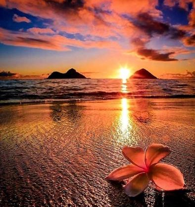 KANALU BEACH APPATEMENT