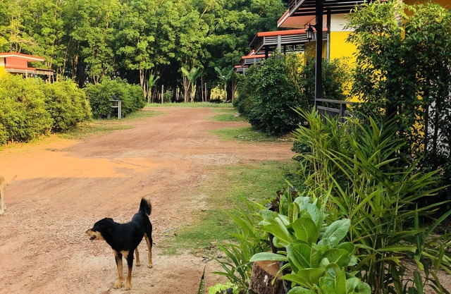Kanyaphat Gardenview Resort