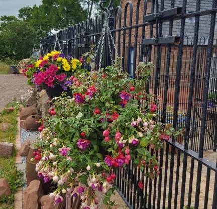 Kennels Cottage by Eco Indigo