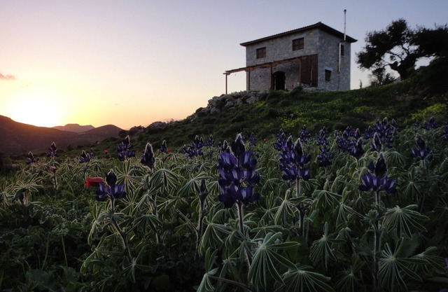 Kerames South Crete - Akonize stone house