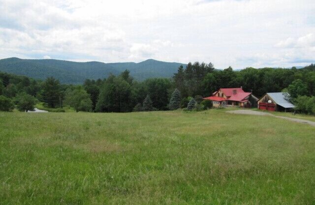 Killington, Pico, Sugarbush, Mad River Glen, Middlebury Snowbowl + many more