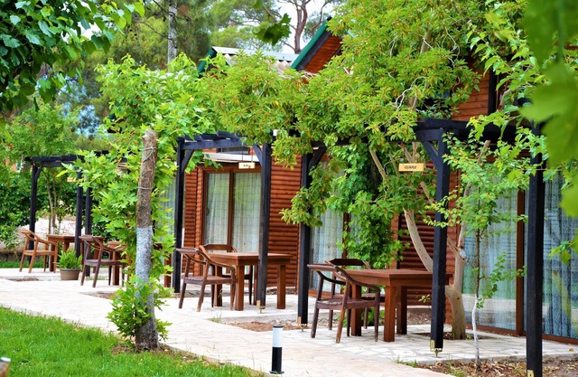 Koala Bungalows