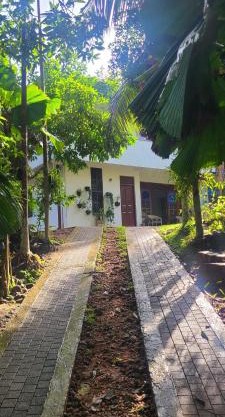 'Kolamba Gedara' green apartment