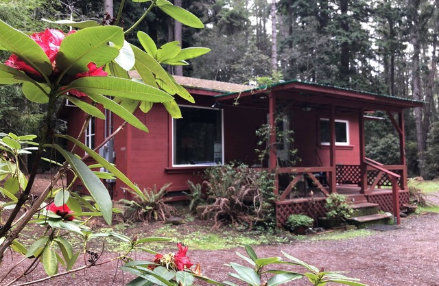 Kona Cabin in the Redwoods