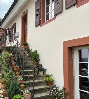 Kulturvogtei Freiburg-Tiengen