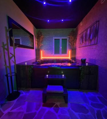 L'appar-T loft avec Spa privatif et jardin