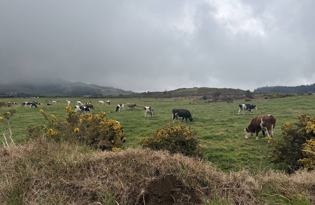 L'Eden De La Grande Ferme