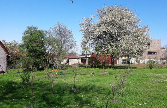 L'Erable Bed and Breakfast, in the Heart of the Alsace Wine Route!!