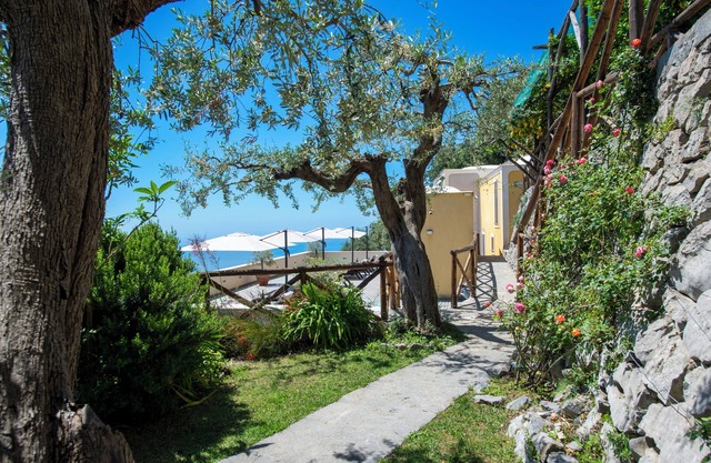 L'Ulivo