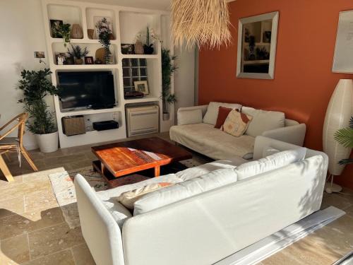 La Capte 4-6 person villa with garden and pool