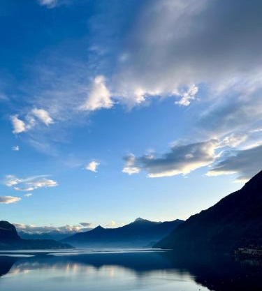 La Corte del Governo 565