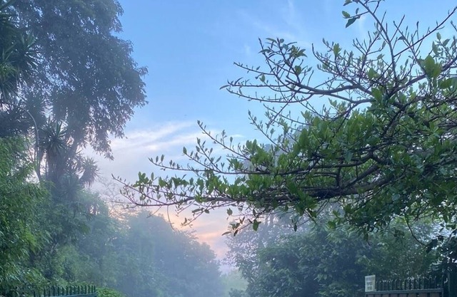 La Cueva de Monticello