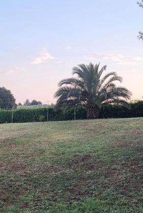 la finestra sul cortile 2