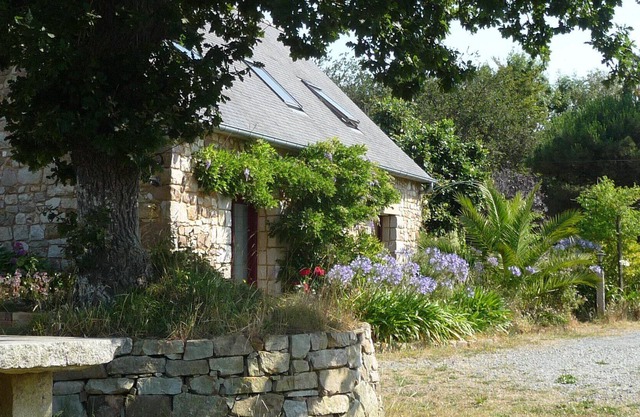 LA GOELLETTE / The sea is in the woods