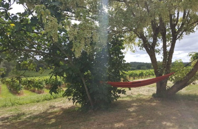 La Maison du Vignoble: Charme & Vue Panoramique