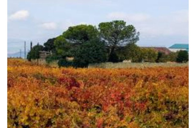 La Matilla, first floor cottage with large garden, ideal for families and friends.