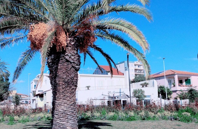 La Promenade