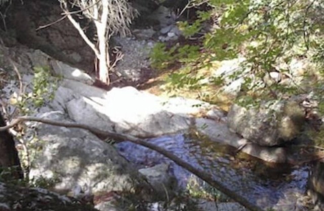 La Tinutella 4, la tinutella