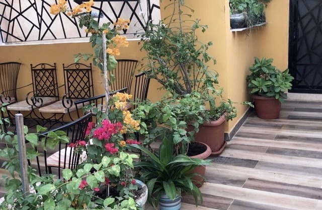 La Tulipe D'été Appartement Chaleureux, Avec sa Belle Terrasse Fleurie
