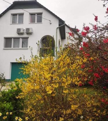 Labdarozsa Apartmanhouse
