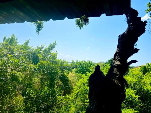 Lake Wind Resort & Restaurant