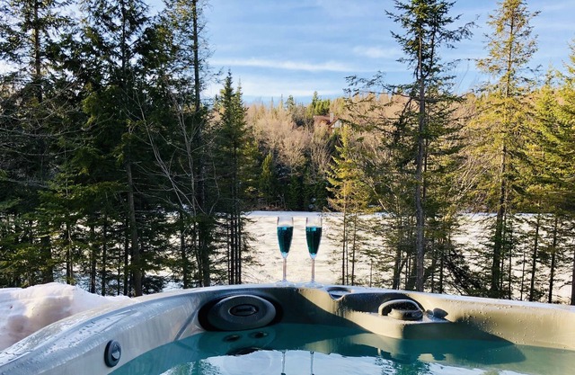 LAKEFRONT (private quay)-SPA-BILLARD-PING PONG-TELEWORKING