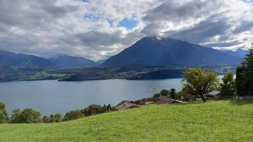 Lakeview Lodge Ferienwohnung Aeschlen ob Gunten am Thunersee