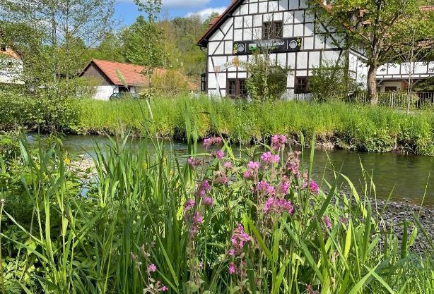 Landhotel Der Distelhof mit Scheunencafé