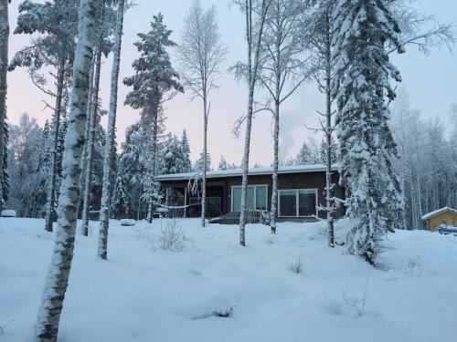 Lapland Lakefront Villa - Winter Wonderland