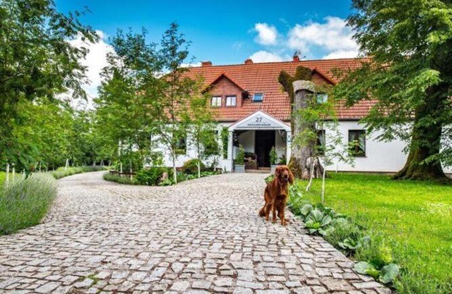 Large holiday villa with garden, 6 bedrooms