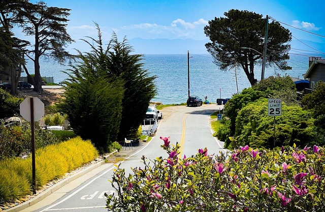 Large Home on Quiet Street Steps from Sunny Cove Beach, Private Pickleball Court