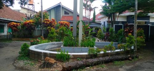 Latar Amba Guest House