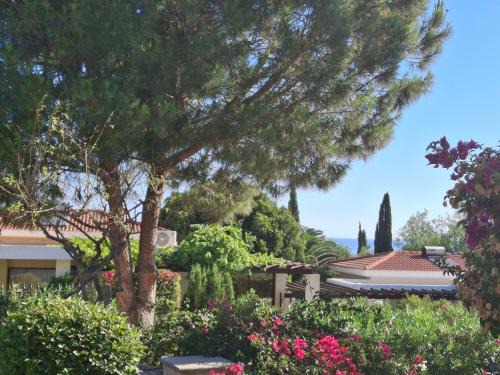 Latchi coast villa-resort