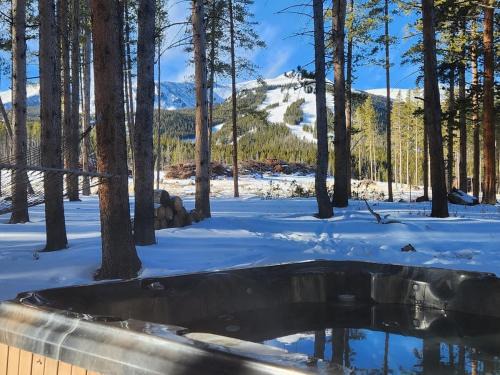 Lazy Fox Lodge in National Forest View