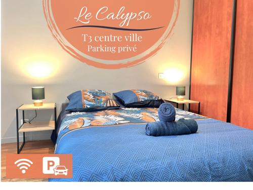 Le Calypso, superbe T3+Parking proche du centre