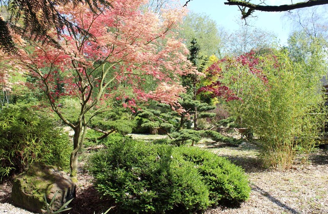 Le Clos Penguily rent 2 houses in a closed wooded park