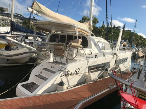 Le Guepard - Catamaran amarré