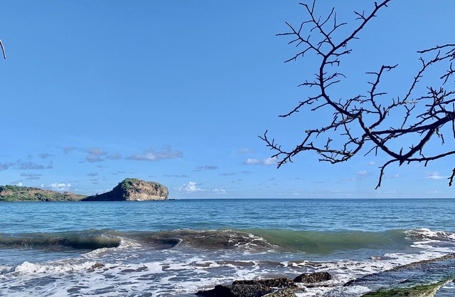 Le Madras Avec vu sur le Tombolo. Animaux de Compagnie Acceptés!