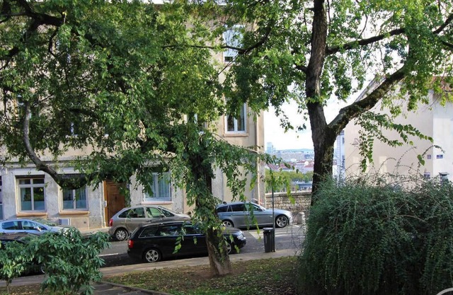 Le Magneval - Lyon 1ER Arrondissement