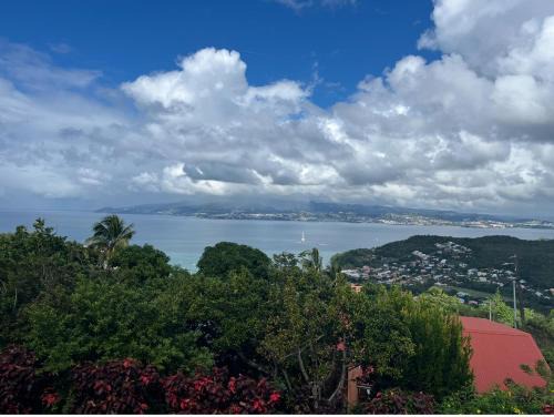 Le Manguier Panoramique