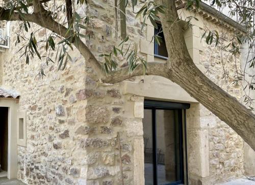 Le Mas de l'eau - Piscine Privative