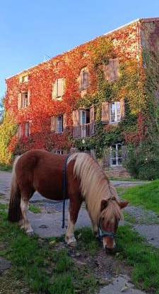 Le moulin de vaux