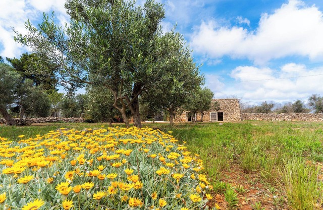 Le Pajare di Annibale by BarbarHouse