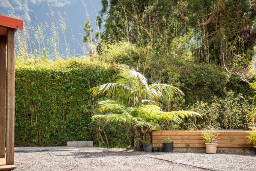 Le Palmi Chalet charmant