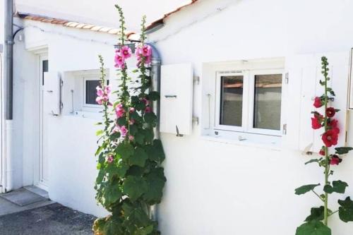 Le Patio - Saint-Denis d’Oléron