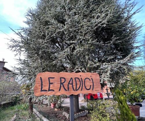 LE RADICI