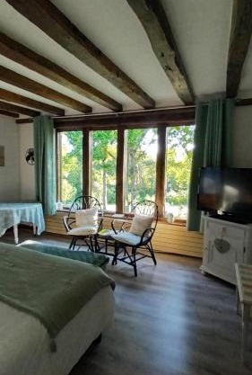 Les 2 Ginkgos près de Beauval